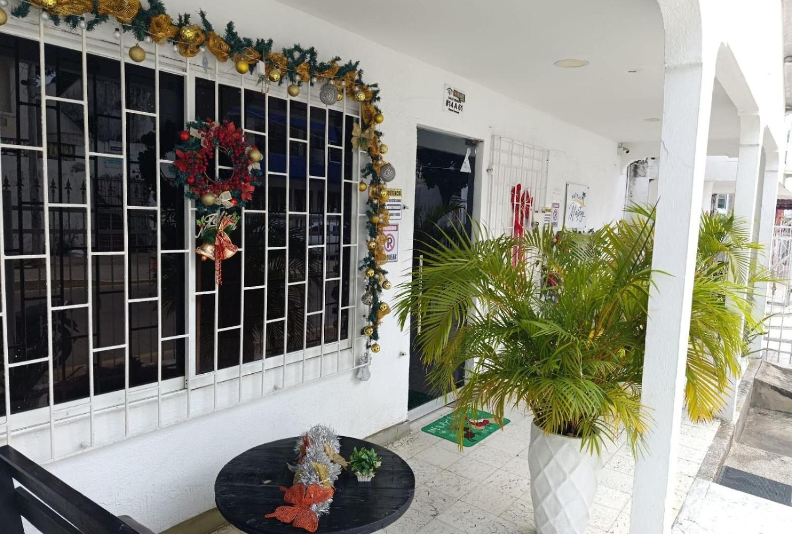 Mastcoy Cartagena