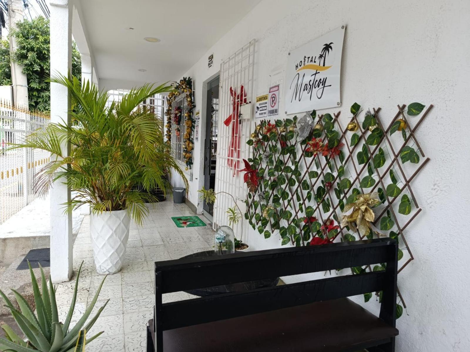 Mastcoy * Cartagena